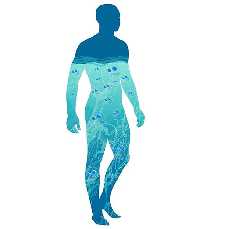 Original Hydrogen Water Bottle Mineral Stream