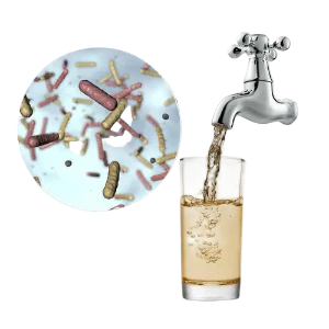Normal Water